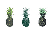 Pineapple Vector Collection, a Food Illustration by Lubov Illustrations Shop (Thumbnail 2 of 6)