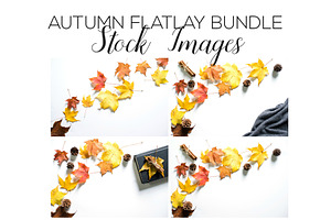 Autumn Flatlay Stock Image Bundle