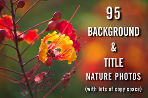 95 Background & Title Nature Photos