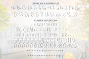 Simple Amsterdam | Script Font, a Handwritten Font by Scratchones (Thumbnail 7 of 9)