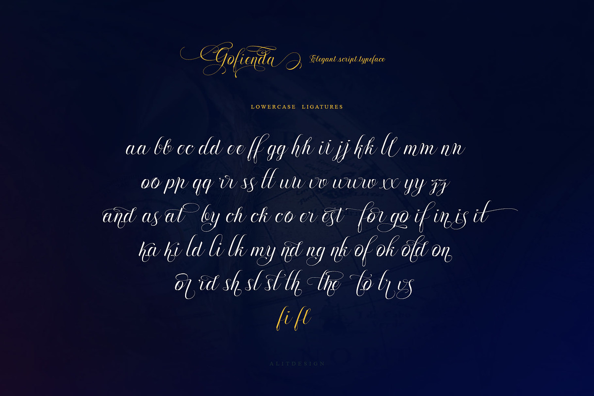 Gofienda, a Script Font by alit design (Photo 13 of 17)