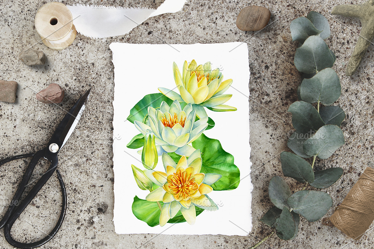 Lotus flowers and koi fish, an Animal Illustration by Hanna Hryharenka (Photo 5 of 13)