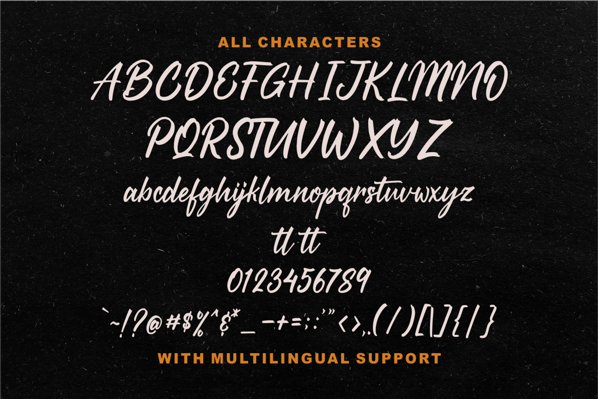 Starships a Brush Script Typeface, a Script Font by Vilogsign (Photo 7 of 7)