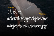 Oishu Taveny -Brush Handwritten Font, a Handwritten Font by Dhabee (Thumbnail 2 of 12)