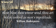 Winterfell, a Serif Font by Alan Meeks Collection (Thumbnail 3 of 4)