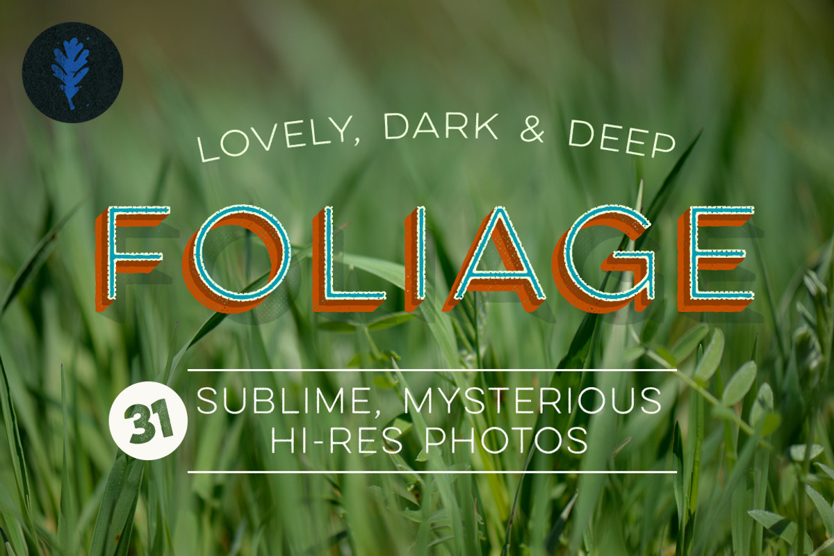 Photo Bundle: Mysterious Foliage preview 6