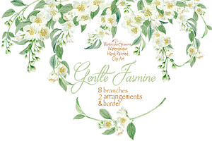 Gentle Jasmine Branch