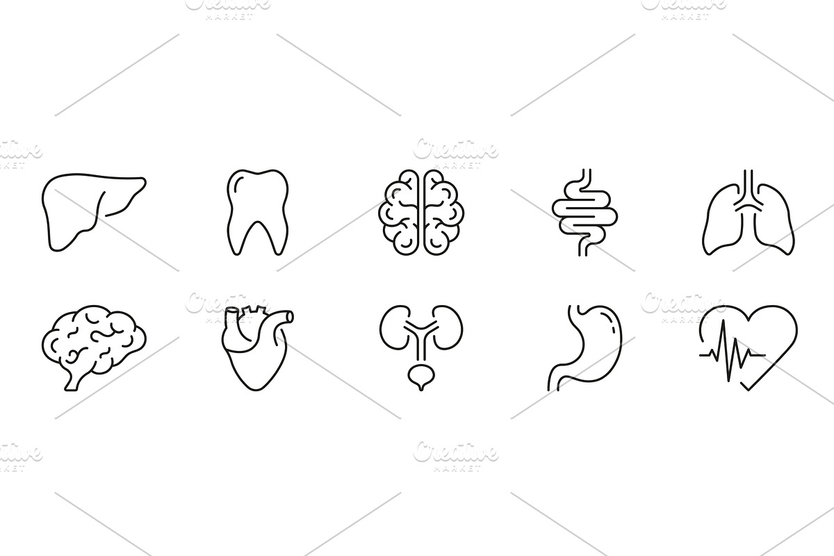 Human Internal Organ Icons, an Object Illustration by Gentle Studio