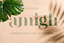 Amigh - Modern Serif Font