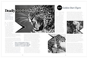 Magazine Template InDesign 13, a Magazine Template by Love Graphic Design (Thumbnail 19 of 20)