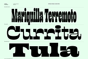 Lapoya Font, a Slab Serif Font by Cuchi, qué Tipo! Foundry (Thumbnail 8 of 18)