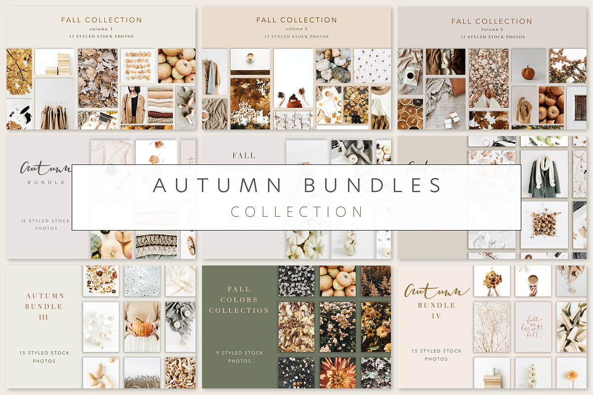 Autumn Bundles Collection, a Photo by Floral Deco (Photo 1 of 13)