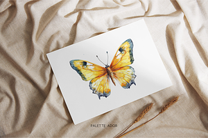 Watercolor Yellow Butterflies