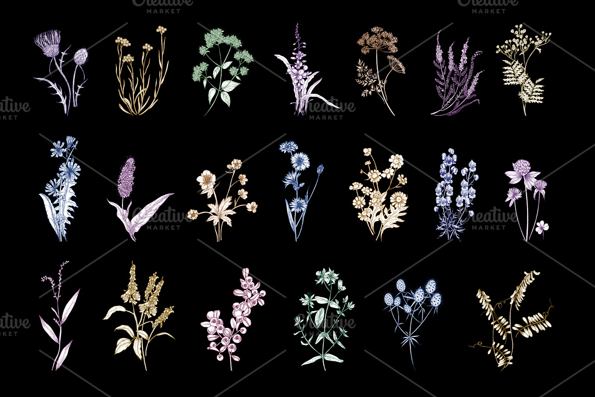 Wild flowers,herbs,herbaceous plants, a Texture Illustration by Good Studio (Photo 4 of 22)
