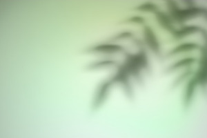 Foliage shade bamboo leaves green plant contour, a Background Photo by Photo Drive Studio