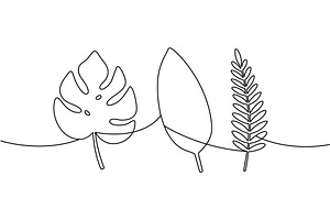 Continuous line art of monstera, an Illustration by GraphiShop