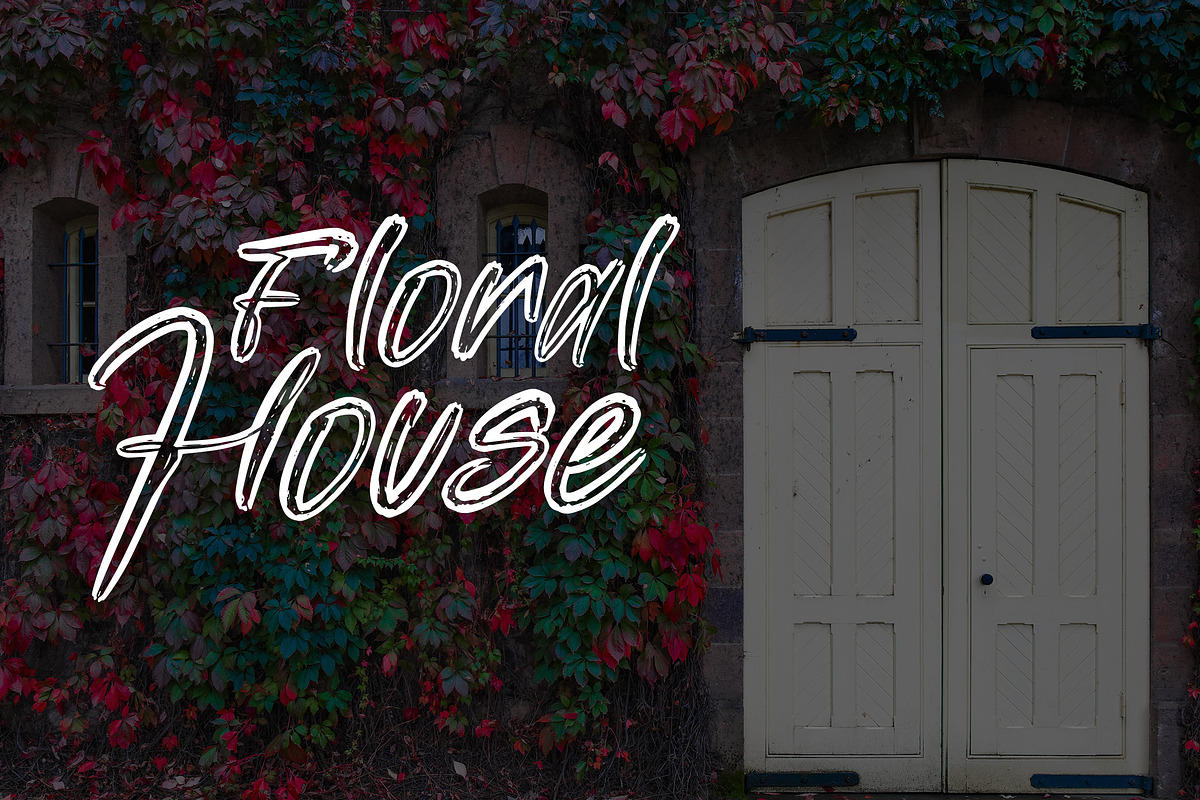 Black Gatte - Brush Font, a Script Font by NTC Graphic (Photo 4 of 9)