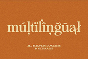 Analogue - Humanist Retro Serif, a Serif Font by Harmonais Visual (Thumbnail 24 of 29)