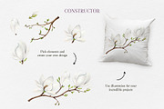 MAGNOLIA - Watercolor collection, a Decorative Illustration by Navenzeles (Thumbnail 5 of 13)
