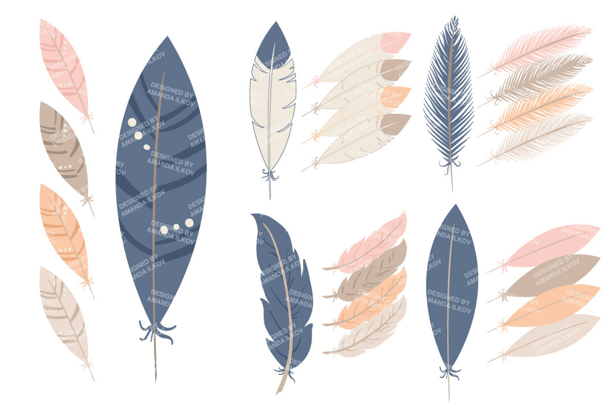 Navy & Blush Feather Vector Clipart, an Illustration by Amanda Ilkov (Photo 3 of 4)