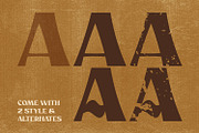 Rockold – Strong Display Typeface, a Serif Font by Almarkhatype (Thumbnail 11 of 15)