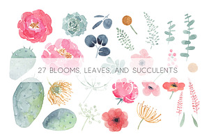 Watercolor Florals & Succulents