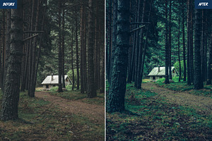 Forest Lightroom Presets