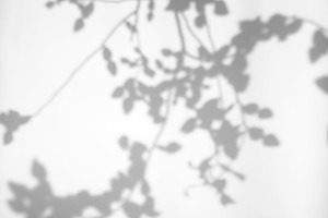 Leaves natural shadow overlay