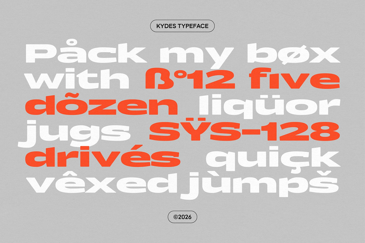 Kydes, a Sans Serif Font by graphicook (Photo 7 of 10)