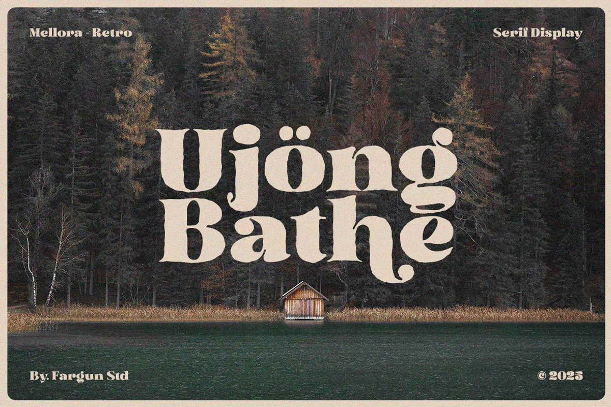 Mellora - Display Serif, a Serif Font by Fargun Studio (Photo 24 of 24)