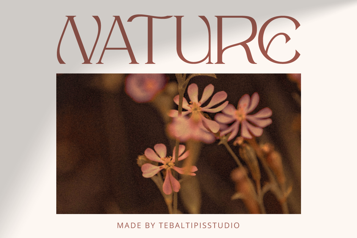 Mergian - Modern Serif, a Serif Font by tebaltipislab (Photo 10 of 21)
