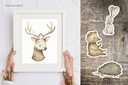 Watercolor woodland animals set, an Animal Illustration by OrangePeafowlArt (Thumbnail 12 of 14)