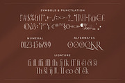 Hara - Modern Serif Typeface, a Serif Font by Typefactoryco (Thumbnail 3 of 10)
