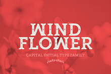 WINDFLOWER | FONT