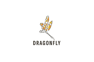 Dragon Fly Logo Illustration