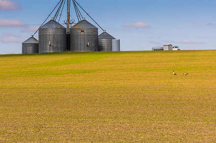 Farm With Grain Storage Silos preview 6