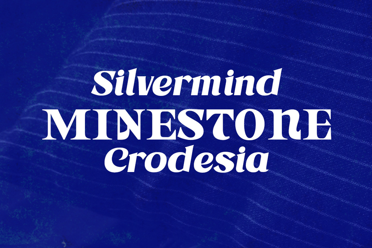 Astone Nisam, a Sans Serif Font by Gatype (Photo 10 of 10)