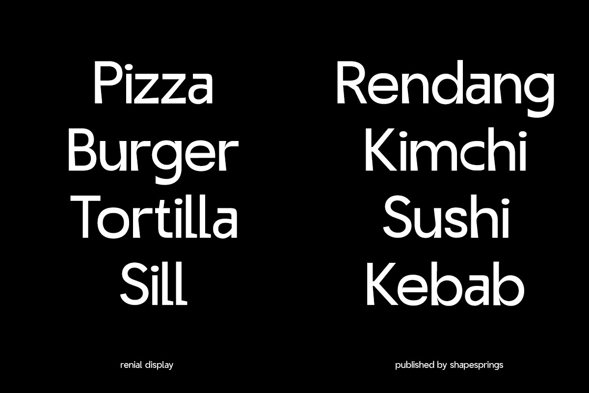 Renial Display, a Sans Serif Font by rejazer (Photo 8 of 11)