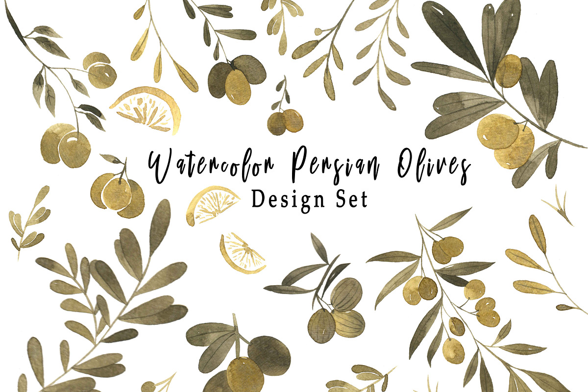 Watercolor Persian Olives, an Object Graphic by Zahra Makes (Photo 1 of 3)
