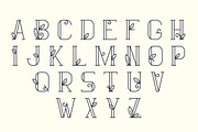 Amurez - delicate natural font, a Serif Font by wowomnom (Thumbnail 2 of 3)