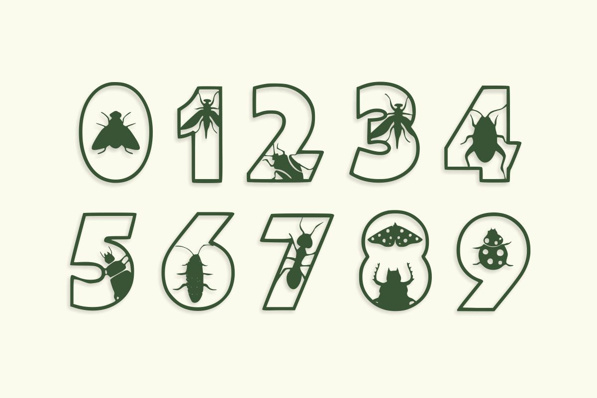 Insect AZ Font, a Symbol Font by Fourteen Letter (Photo 5 of 8)