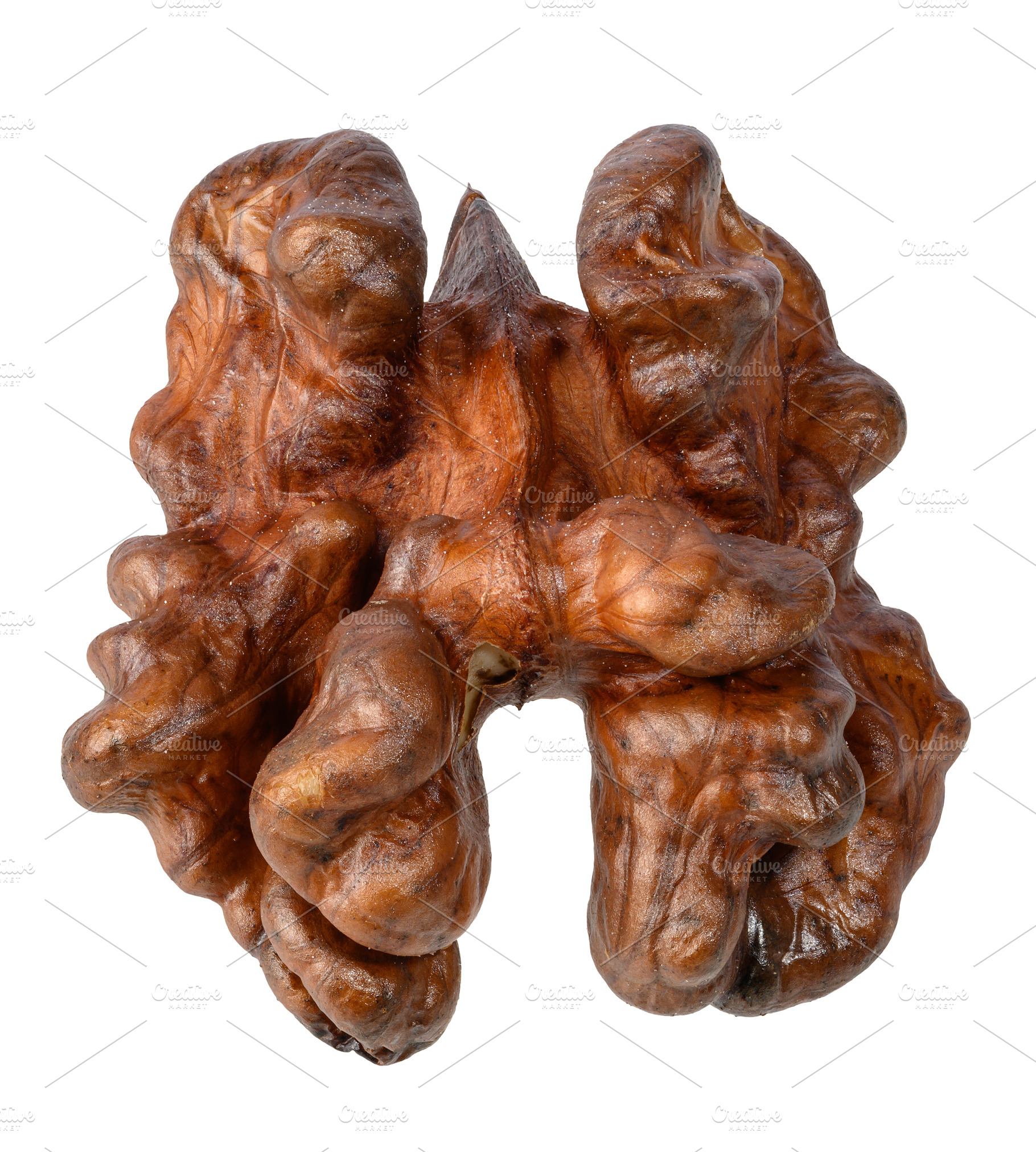 A peeled walnut kernel with characteristic ridges and brown skin, a Food & Drink Photo by ndanko