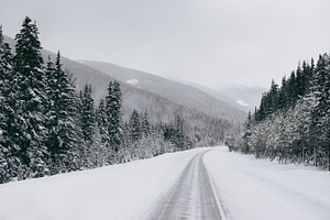 Snowy Pine Mountain Road