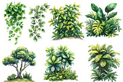 Safari Watercolor Clipart, an Illustration by Designworld (Thumbnail 4 of 6)