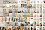 Sol Vibes | Coastal Stock Photos, a Nature Photo by Tale.Haus (Thumbnail 15 of 18)
