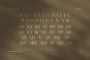 Rioka Stylish Serif Font, a Serif Font by Elegant Font (Thumbnail 8 of 8)