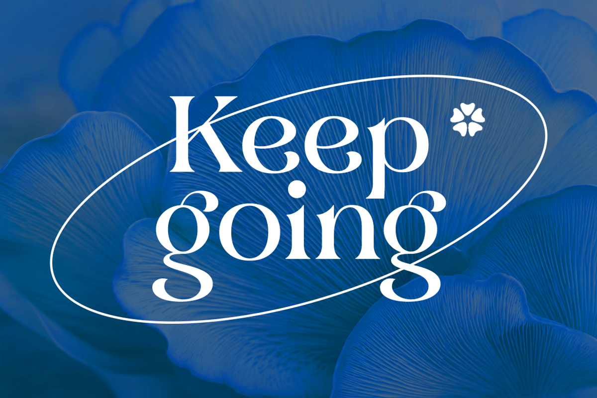 Bonrage Modern Elegant Serif Font, a Serif Font by Vadovastd (Photo 5 of 9)
