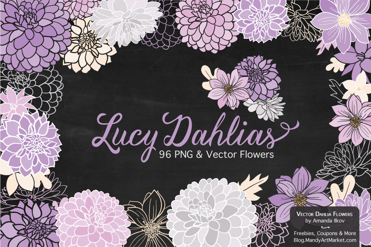 Lavender Dahlia Flowers Clipart, an Illustration by Amanda Ilkov (Photo 2 of 4)