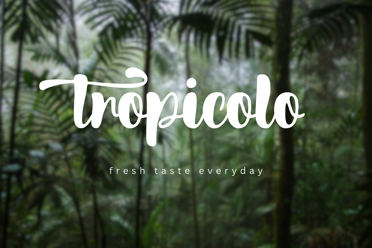 Scotland, a Script Font by Gatype (Photo 7 of 10)