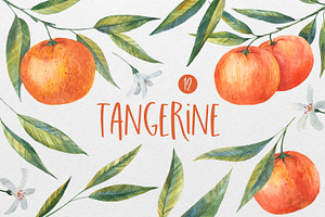 Tangerine & Orange: Hand-Drawn, a Food Illustration by the_myro